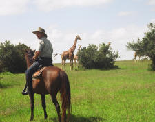 Kenya-Mount Kenya-Olea Africana Safari